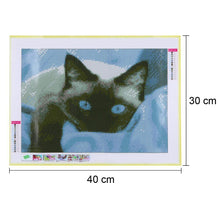 Load image into Gallery viewer, Blue Eye Cat - Full Drill Round Drill - 40x30cm