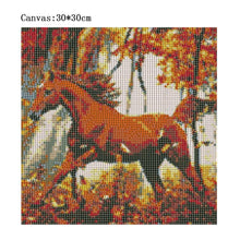 Load image into Gallery viewer, Horse - Full Diamond Painting - 30x30cm