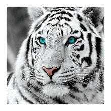 Load image into Gallery viewer, Tiger Head - Full Drill Round Drill - 30x30cm