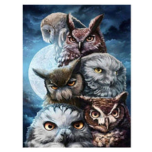 Load image into Gallery viewer, Bird - Full Drill Round Drill - 40x30cm