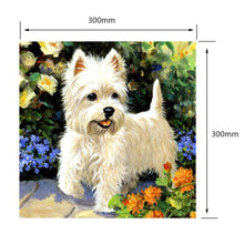 Load image into Gallery viewer, White Puppy - Full Diamond Painting - 30x30cm