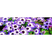 Load image into Gallery viewer, Novelty Flower - Full Drill Round Drill Painting - 80x30cm