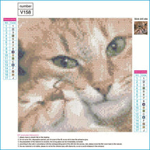 Load image into Gallery viewer, Cat - Full Diamond Painting - 30x30cm