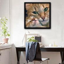 Load image into Gallery viewer, Cat - Full Diamond Painting - 30x30cm
