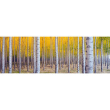 Load image into Gallery viewer, Multi Tree - Full Drill Round Drill - 80x30cm