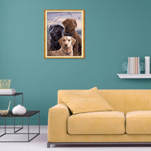 Load image into Gallery viewer, Dog  - Full Diamond Painting - 30x25cm