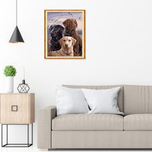 Load image into Gallery viewer, Dog  - Full Diamond Painting - 30x25cm
