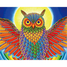 Load image into Gallery viewer, Colorful Bird - Full Drill Round Drill - 30x25cm