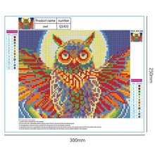 Load image into Gallery viewer, Colorful Bird - Full Drill Round Drill - 30x25cm