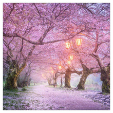 Load image into Gallery viewer, Scenery - Full Drill Round Drill - 30x30cm