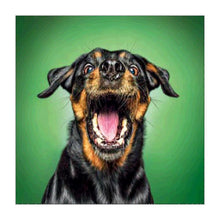 Load image into Gallery viewer, Black Yellow Dog - Full Drill Round Drill - 25x25cm