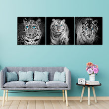 Load image into Gallery viewer, 3pcs/set Animals - Full Square Diamond Painting - 80x30cm