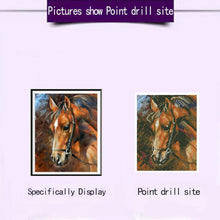 Load image into Gallery viewer, Full Drill Horse  - Full Diamond Painting - 30x25cm