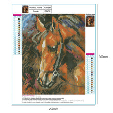 Load image into Gallery viewer, Full Drill Horse  - Full Diamond Painting - 30x25cm
