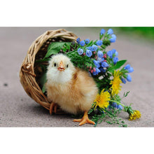 Load image into Gallery viewer, Chicken - Full Drill Round Drill - 40x30cm