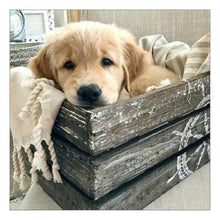 Load image into Gallery viewer, Dog - Full Drill Round Drill - 30x30cm