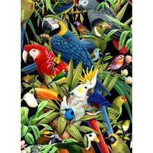 Load image into Gallery viewer, Color Parrots - Full Drill Round Drill - 30x40cm