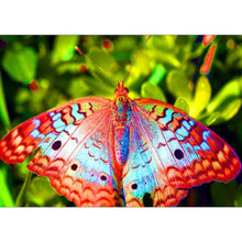 Load image into Gallery viewer, Butterfly - Full Drill Round Drill - 40x30cm