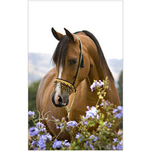 Load image into Gallery viewer, Horse Flowers - Full Drill Round Drill - 30x40cm