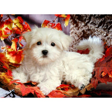 Load image into Gallery viewer, White Dog - Full Drill Round Drill - 40x30cm