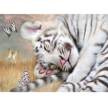 Load image into Gallery viewer, Cute Animals - Full Drill Round Drill - 40x30cm