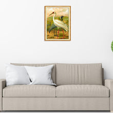 Load image into Gallery viewer, Animals - Full Drill Round Drill - 40x30cm