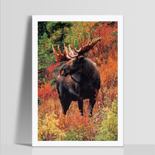 Load image into Gallery viewer, Animal - Full Drill Round Drill - 30x40cm