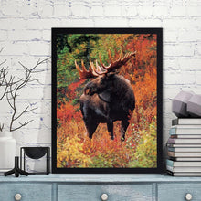 Load image into Gallery viewer, Animal - Full Drill Round Drill - 30x40cm