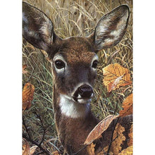 Load image into Gallery viewer, Animal - Full Drill Round Drill - 30x40cm