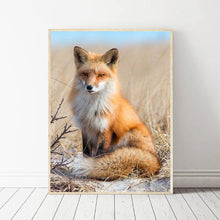 Load image into Gallery viewer, Animal - Full Drill Round Drill - 30x40cm