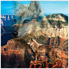 Load image into Gallery viewer, Wolf - Full Diamond Painting - 30x30cm