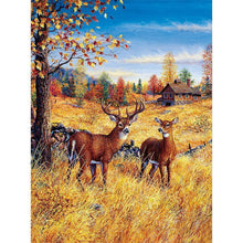 Load image into Gallery viewer, Gift - Full Drill Round Drill - 30x40cm