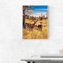 Load image into Gallery viewer, Gift - Full Drill Round Drill - 30x40cm