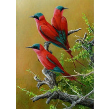Load image into Gallery viewer, Bird  - Full Drill Round Drill - 40x30cm