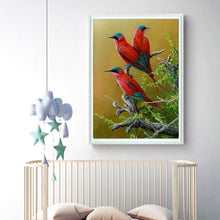 Load image into Gallery viewer, Bird  - Full Drill Round Drill - 40x30cm