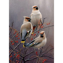 Load image into Gallery viewer, Bird  - Full Drill Round Drill - 40x30cm