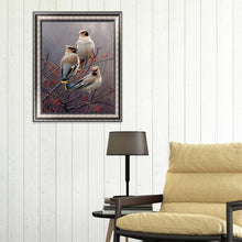 Load image into Gallery viewer, Bird  - Full Drill Round Drill - 40x30cm