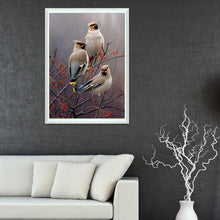 Load image into Gallery viewer, Bird  - Full Drill Round Drill - 40x30cm
