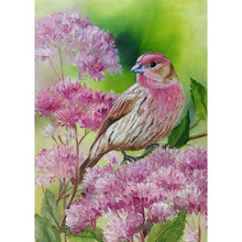 Load image into Gallery viewer, Bird  - Full Drill Round Drill - 40x30cm