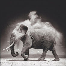 Load image into Gallery viewer, Animal - Full Drill Round Drill - 30x30cm