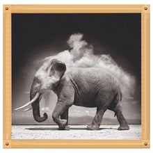 Load image into Gallery viewer, Animal - Full Drill Round Drill - 30x30cm