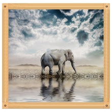 Load image into Gallery viewer, Animal - Full Drill Round Drill - 30x30cm