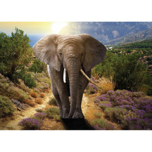 Load image into Gallery viewer, Elephant  - Full Drill Round Drill - 40x30cm