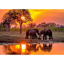 Load image into Gallery viewer, Elephant - Full Diamond Painting - 40x30cm