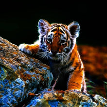 Load image into Gallery viewer, Animal - Full Drill Round Drill - 30x30cm