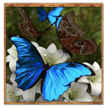 Load image into Gallery viewer, Animal - Full Drill Round Drill - 30x30cm