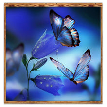 Load image into Gallery viewer, Animal - Full Drill Round Drill - 30x30cm