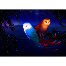 Load image into Gallery viewer, Birds  - Full Drill Round Drill - 40x30cm