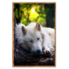 Load image into Gallery viewer, Mosaic  - Full Drill Round Drill - 40x30cm