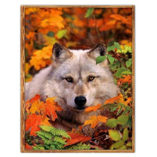 Load image into Gallery viewer, Mosaic  - Full Drill Round Drill - 40x30cm